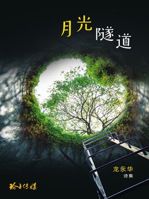 cover image of 月光隧道